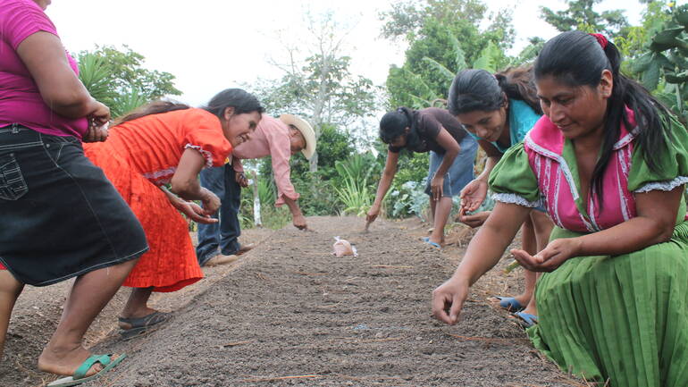 Frauen säen Samen aus Frauen säen Samen aus