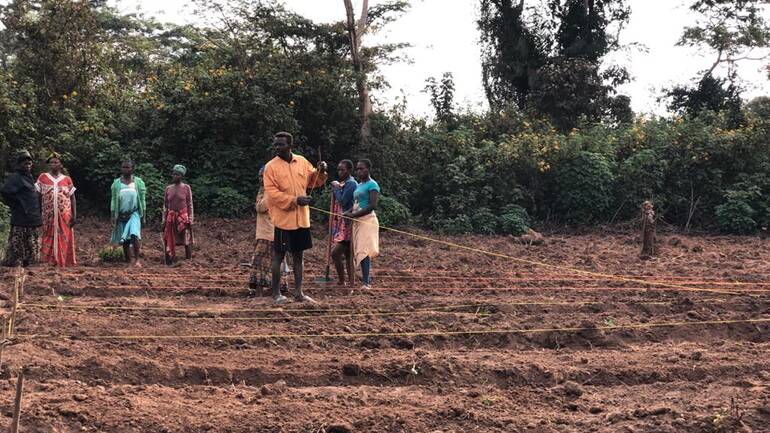 Menschen auf einem Feld Menschen stehen auf einem Feld und bereiten den nächsten Anbau vor