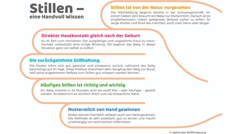 Stillen: Eine Handvoll Wissen Infografik in Form einer Hand mit Text in allen fünf Fingern mit Infos zum Stillen: Eine Handvoll Wissen