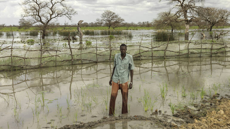Ein Mann steht im Südsudan knöcheltief im Wasser auf einem überfluteten Feld. Ein Mann steht im Südsudan knöcheltief im Wasser auf einem überfluteten Feld.