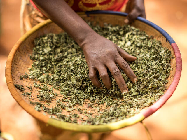 Getrocknetes Gemüse in einer Schüssel