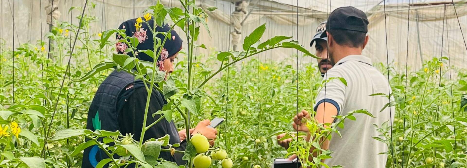 Eine Mitarbeiterin von Aktion gegen den Hunger im Gespräch mit zwei Bauern im Gazastreifen in einem Gewächshaus.