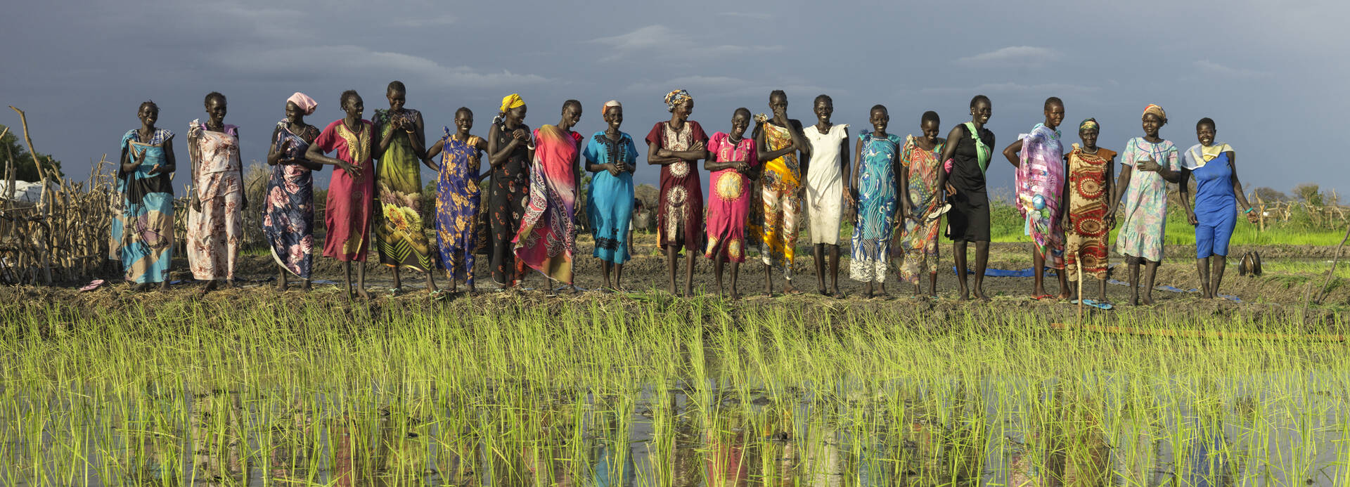 Mehrere Menschen stehen neben einem Reisfeld in Südsudan, das sie bepflanzt haben.