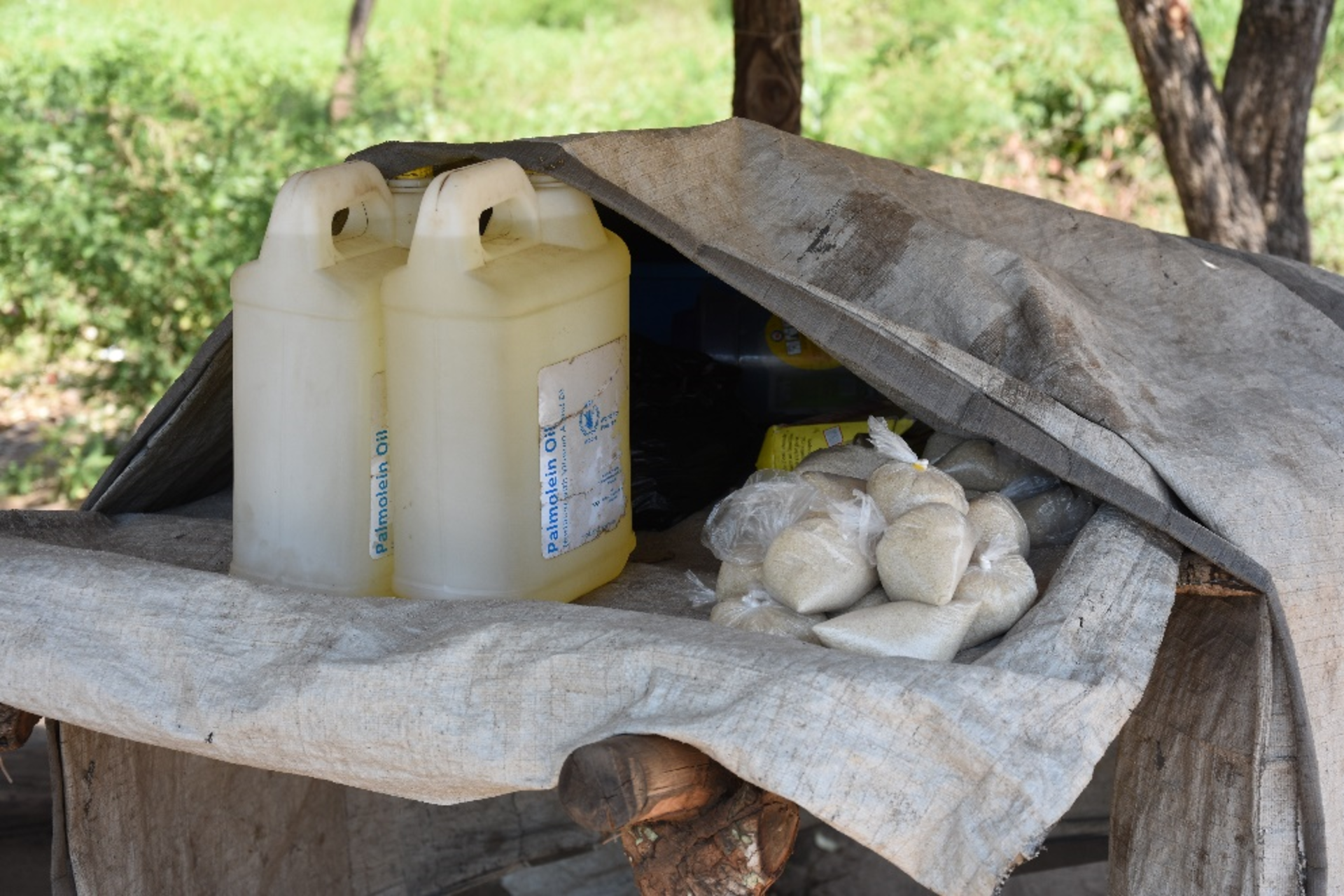 Die Zutaten für Reis Porridge Die Zutaten für Reis Porridge