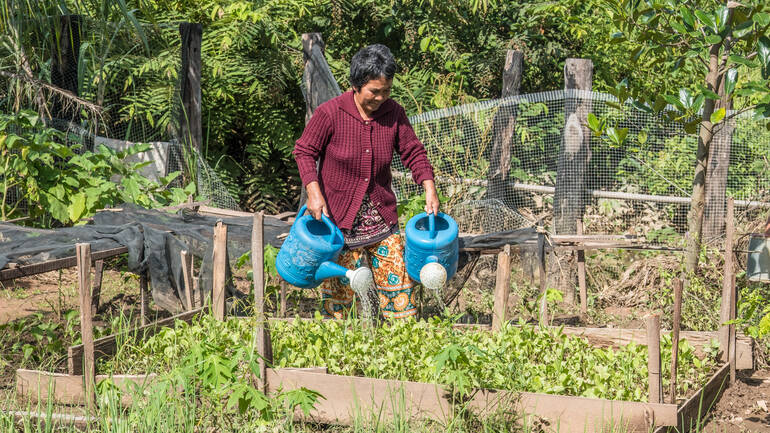 Frau bewässert ihren Garten Frau bewässert ihren Garten