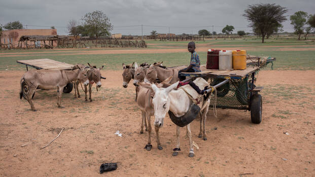 Junge in Senegal sitzt auf einem Karren. Junge in Senegal sitzt auf einem Karren.