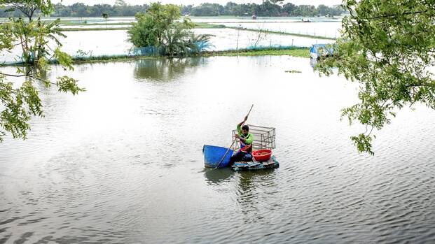 überschwemmtes Feld in Bangladesch