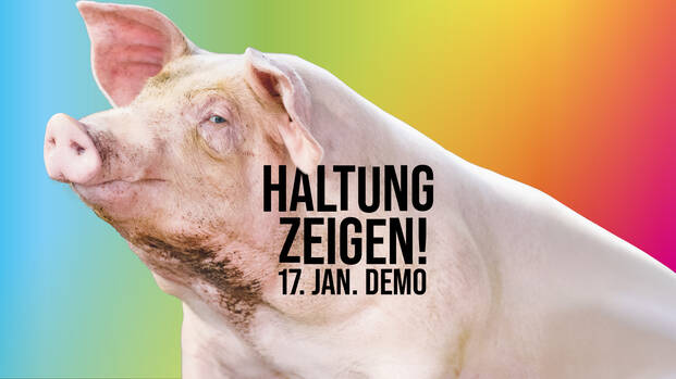 Web-Banner Schwein: Haltung zeigen! 17. Januar 2026 Demo für eine zukunftsfähige Landwirtschaft